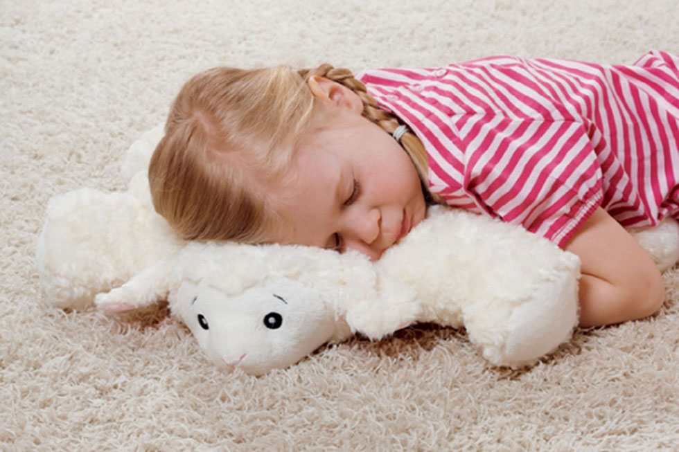 0450-hugo-frosch-waermflasche-klassik-kuschelkissen-schaf-mood-2-2 Produktbild